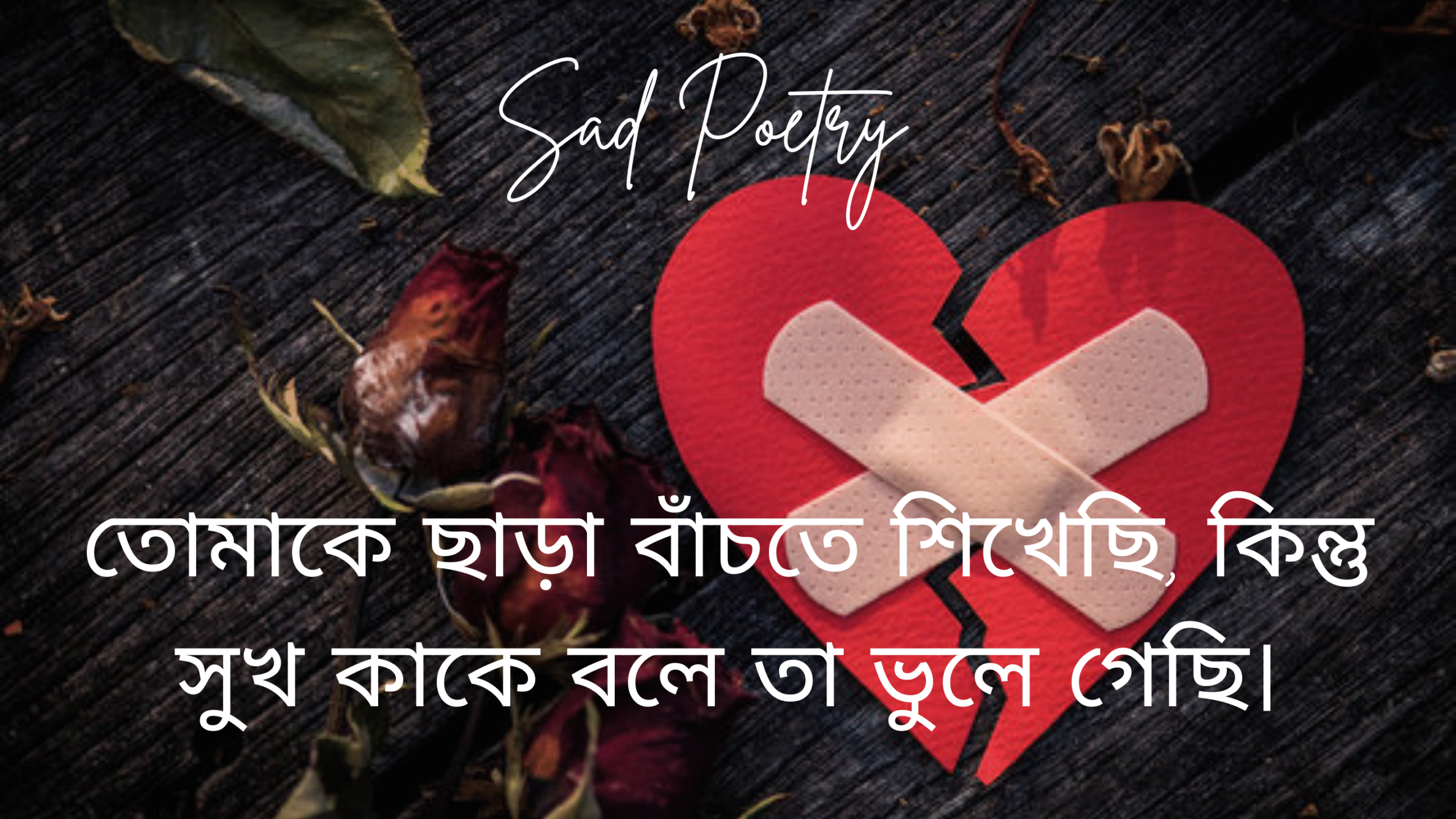https://shyariwayri.org/